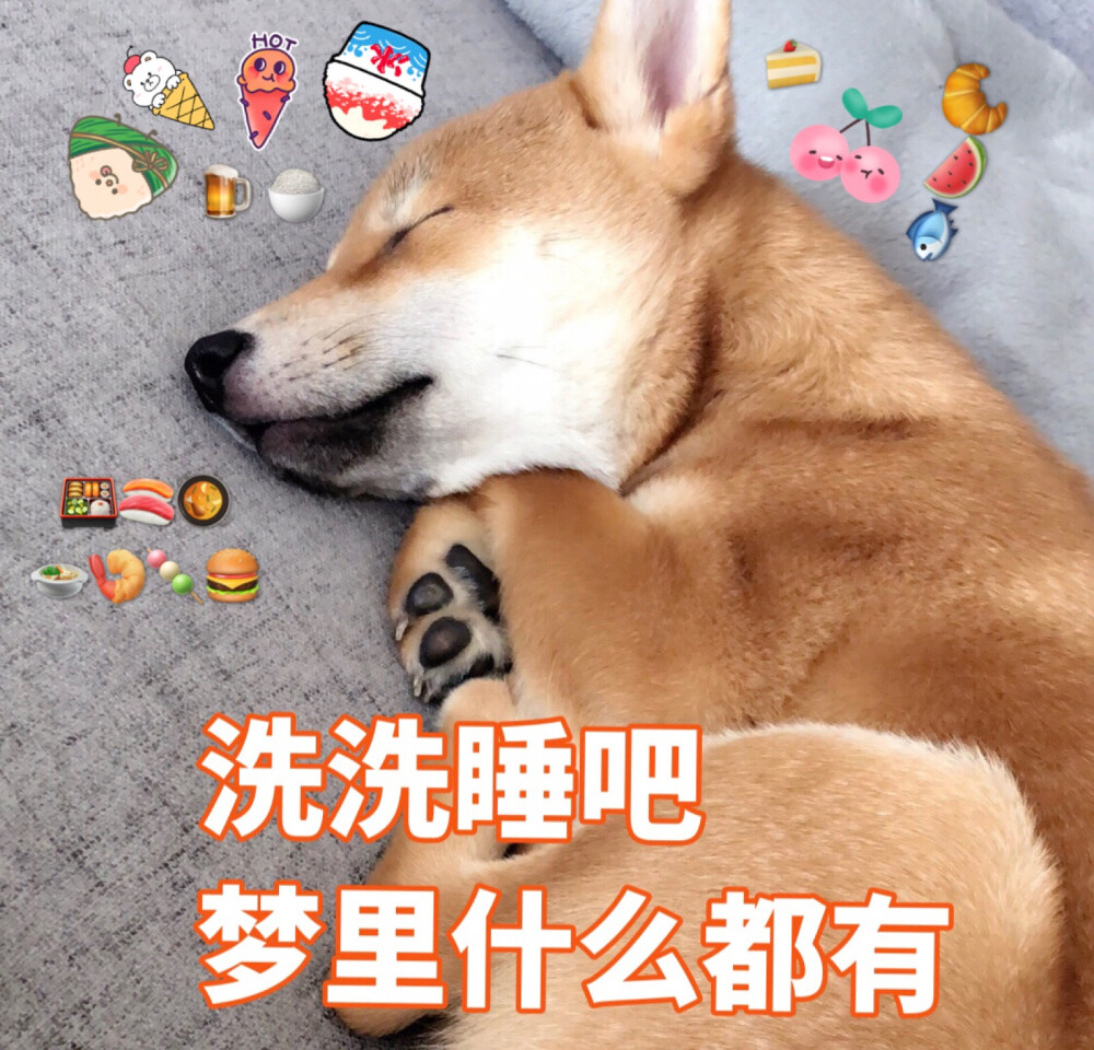 柴犬 表情包