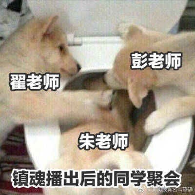 镇魂女孩 表情包