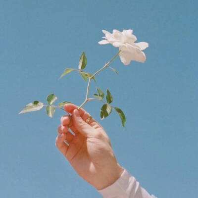 你有多努力，就有多幸运