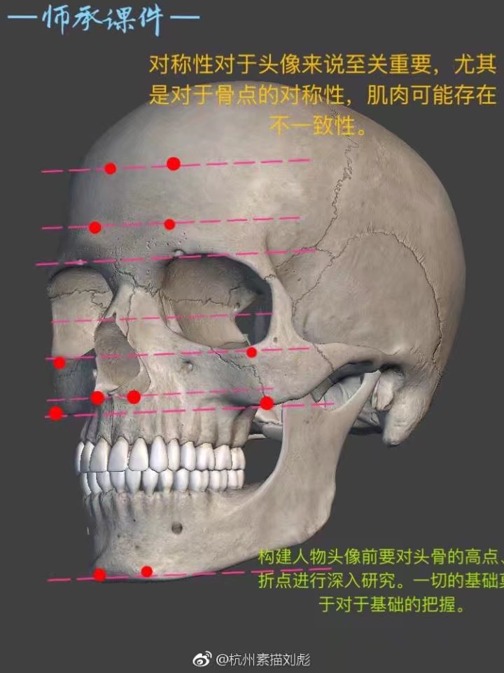 脸部结构