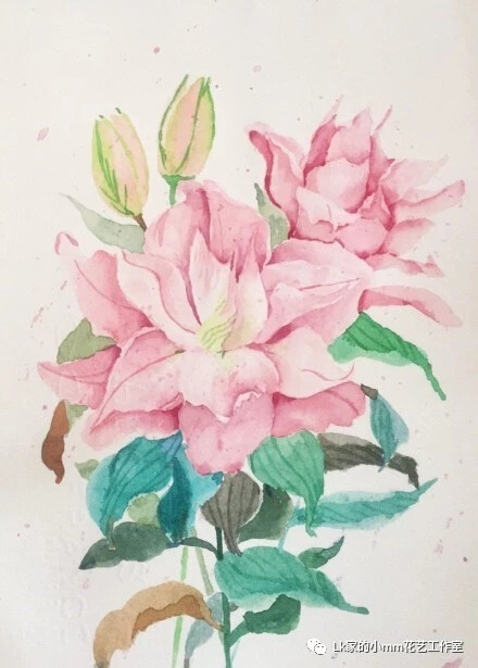 花卉水彩画欣赏