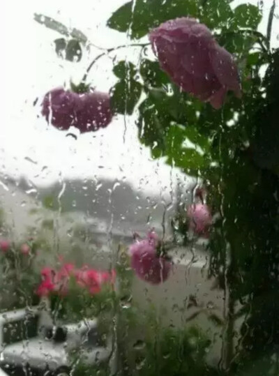 封门雨