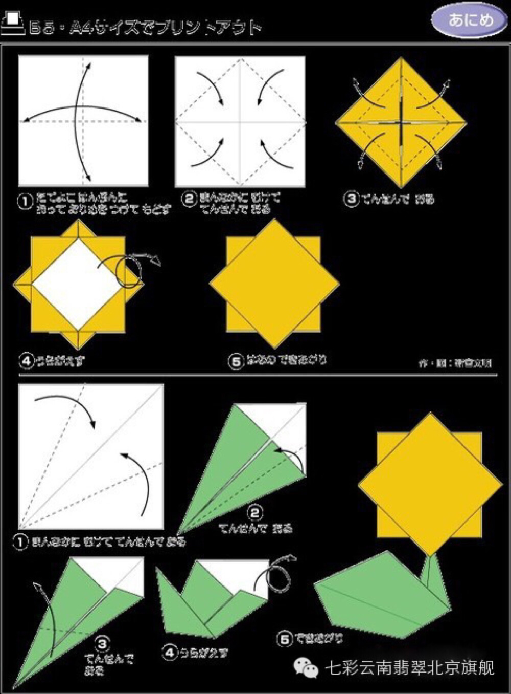 向日葵