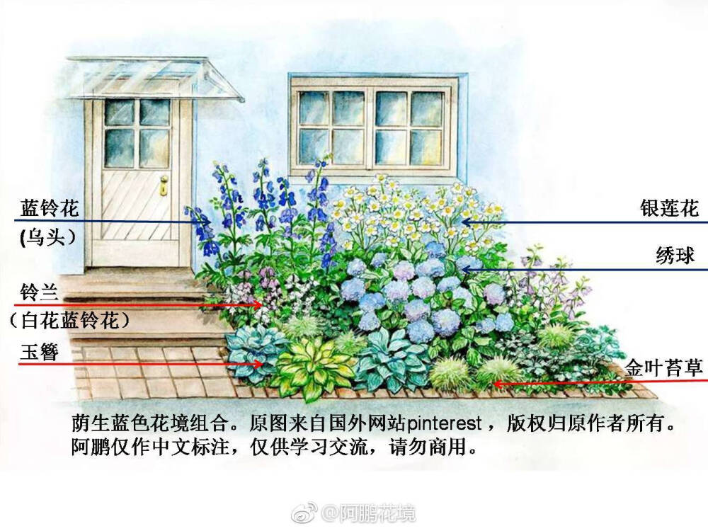 花境种植示例