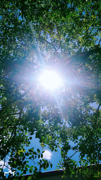 收藏了很多心情句子 想分享几张风景照 今天天气特别好 好的天气总能让人心旷神怡希望大家永远保持一个好心态来面对所有的挫折 忘掉所有的不愉快 