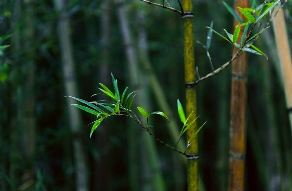 又得浮生一日凉
