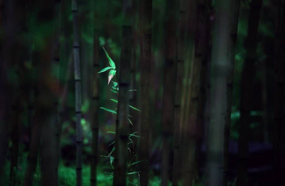 又得浮生一日凉