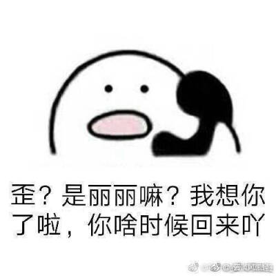 东篱，表情包