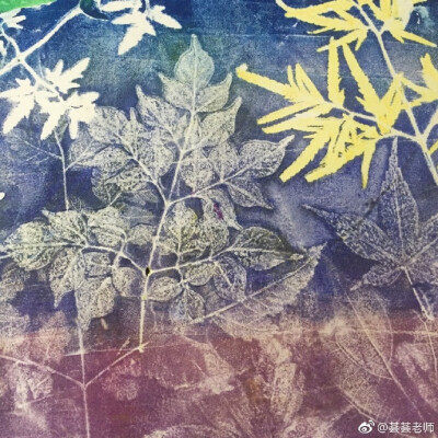 吹塑纸+油画颜料+植物，没有版画机，也可以印得这么细腻