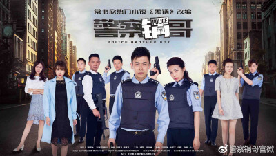 《警察锅哥》是由常晓阳执导，刘凯、刘洁涵、王海燕、冯国强领衔主演的刑侦剧 。该剧改编自常书欣的小说《黑锅：我和罪犯玩命的日子》，2017年播出。