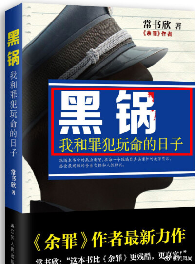 《警察锅哥》是由常晓阳执导，刘凯、刘洁涵、王海燕、冯国强领衔主演的刑侦剧 。该剧改编自常书欣的小说《黑锅：我和罪犯玩命的日子》，2017年播出。