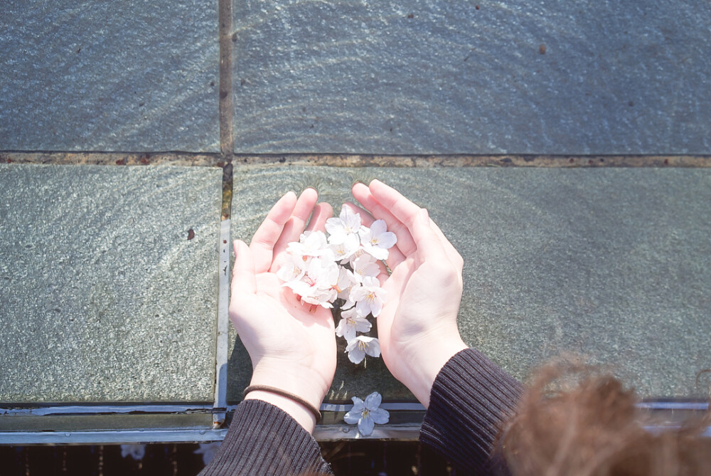 【♡】 日系ʕ̢̣̣̣̣̩̩̩̩·͡˔·ོɁ̡̣̣̣̣̩̩̩̩
日系壁纸女生头像日系复古宫廷穿搭ʕ̢̣̣̣̣̩̩̩̩·͡˔·ོɁ̡̣̣̣̣̩̩̩̩软妹ins可爱