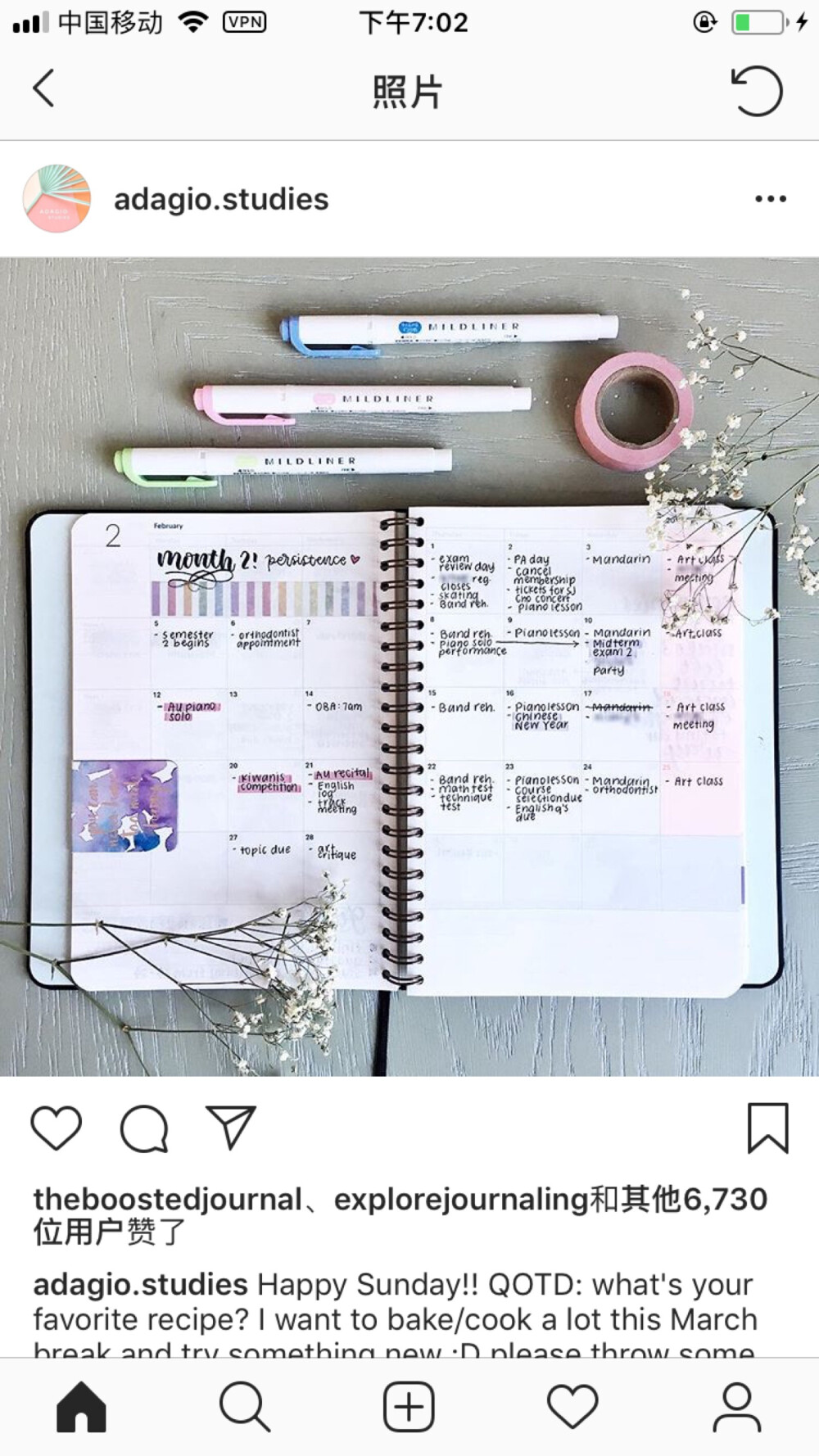 bujo 