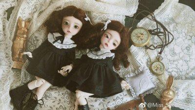 双生子ｂｊｄ