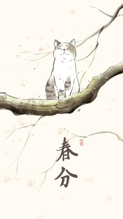 猫儿