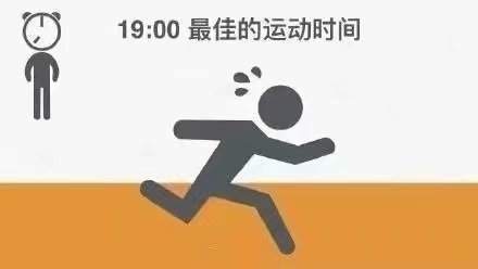 分享一个规律的作息时间表