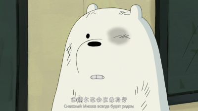 Ice bear