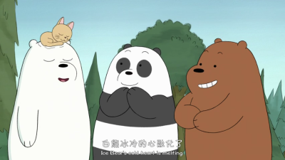 Ice bear