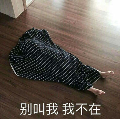 表情包搞笑 不在