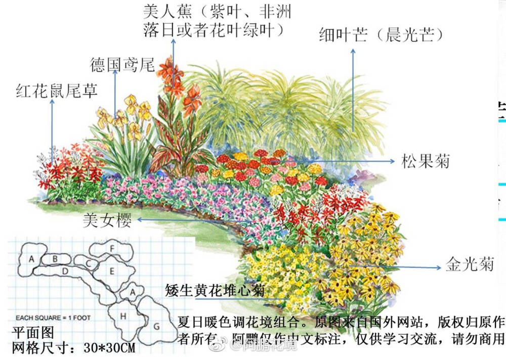 夏日暖色调花境搭配