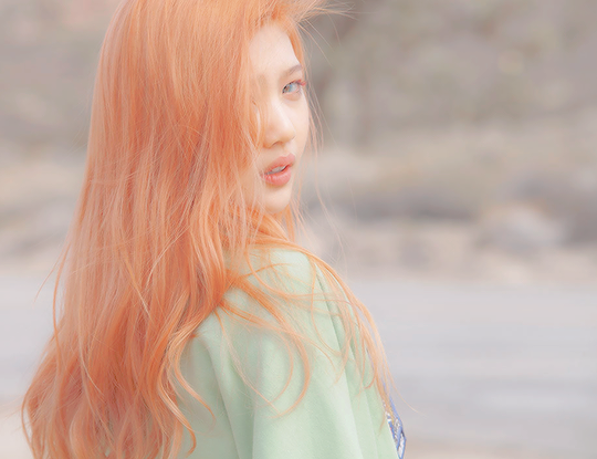 Joy