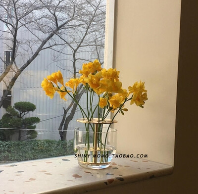 定制
韩国同款奢侈品家居系列黄酮金色花瓶丹麦fritz新品花插器ins摆件