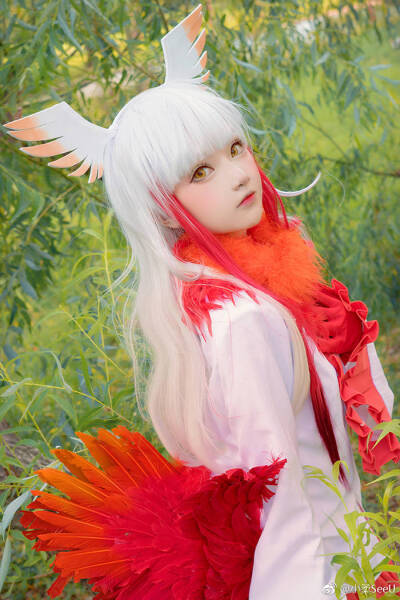 coser 小柔seeu