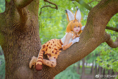 coser 小柔seeu