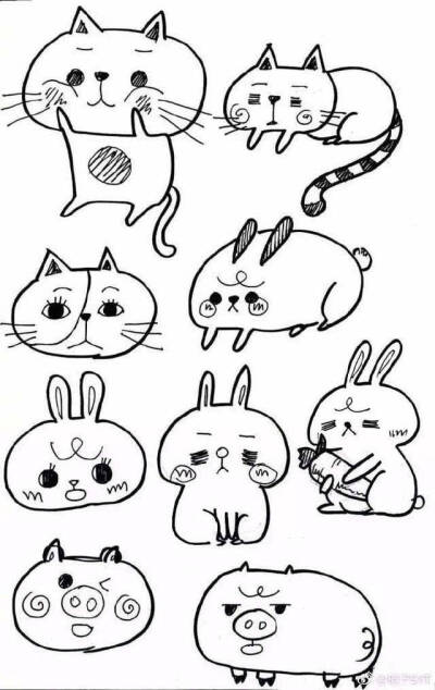 报告--是一只可爱的手账