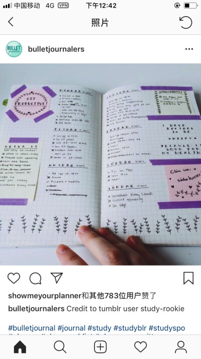 bujo 