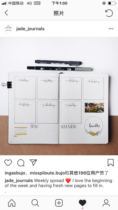 bujo 