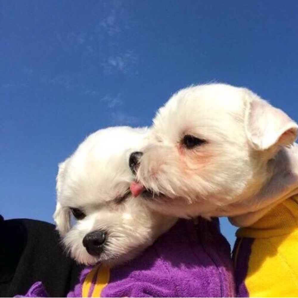 早安晚安 寝食难安