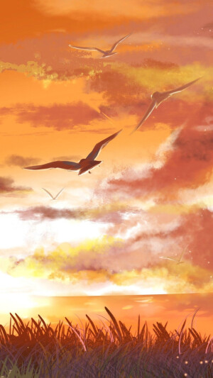 小清晰 七彩云壁纸背景