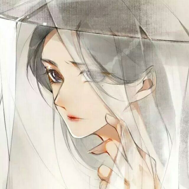 古风轻纱斗笠