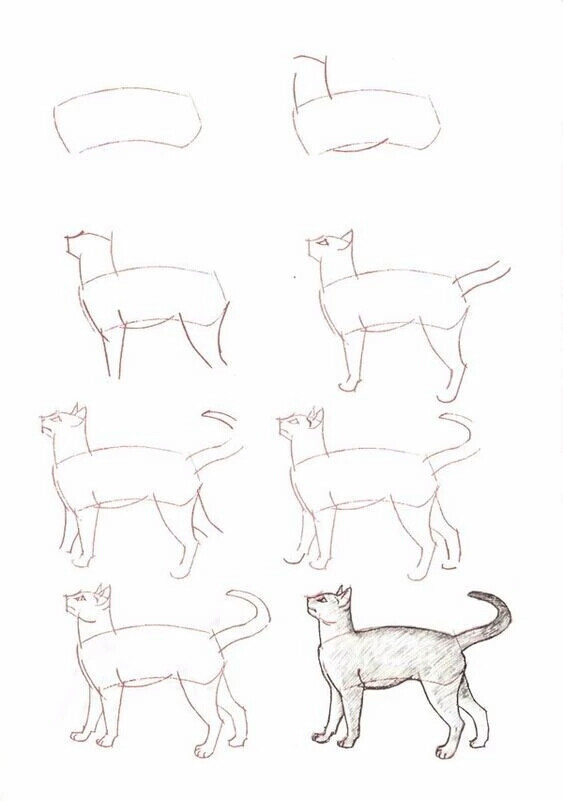 猫咪简画