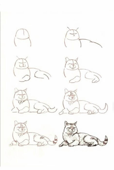 猫咪简画