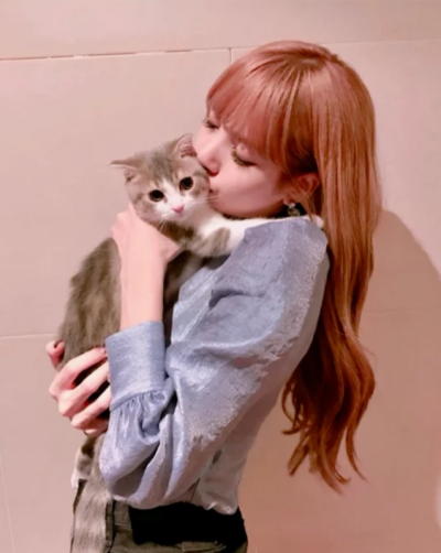 lalisa manoban ☪ 甜豆莎