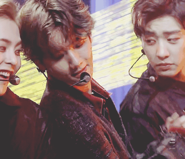 伯贤演唱会动图