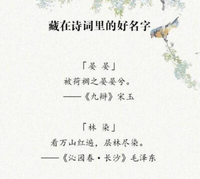 名字 诗经 古风