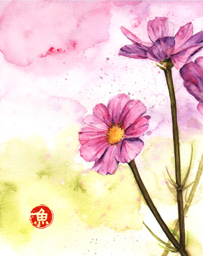 格桑花