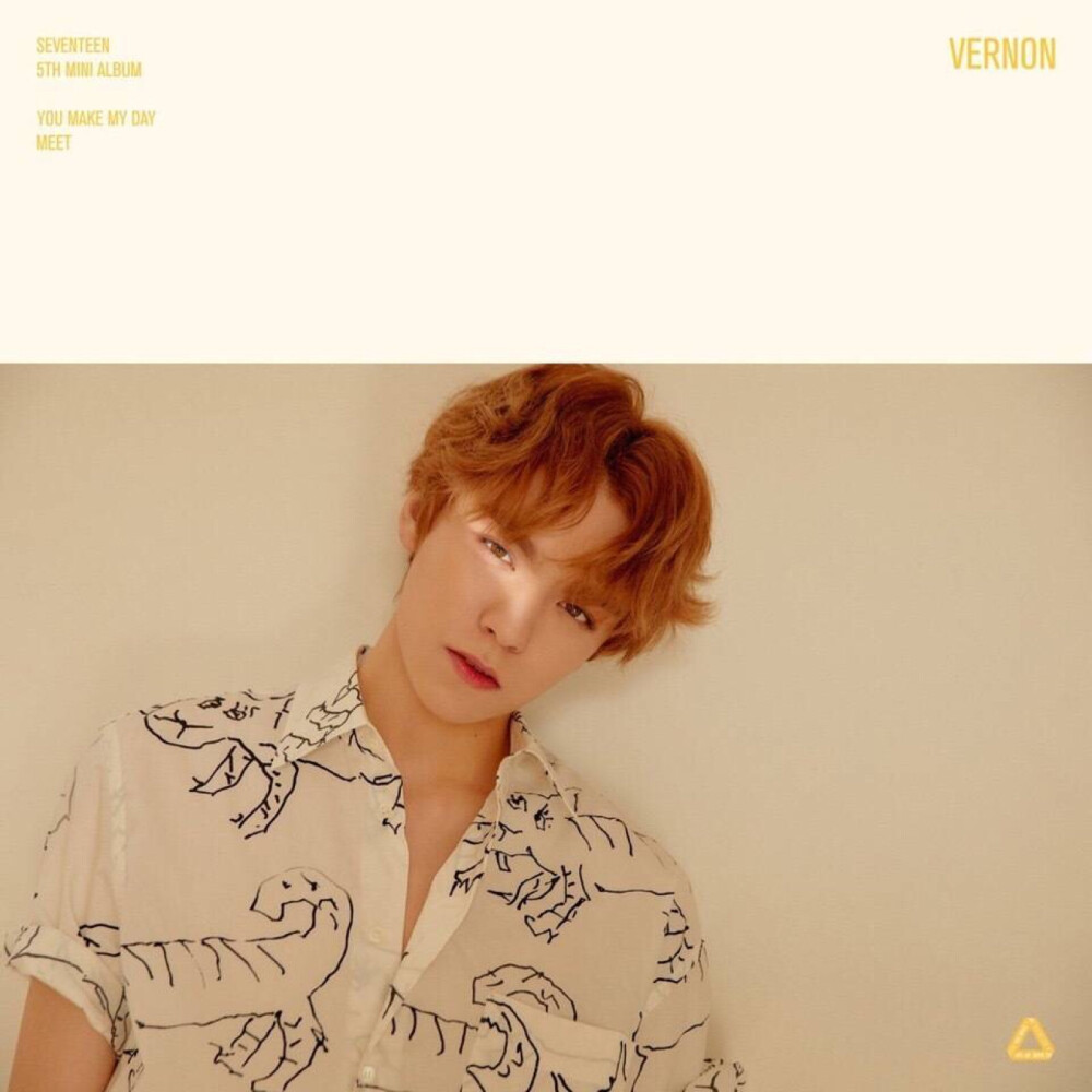 SEVENTEEN 5TH MINI ALBUM 'YOU MAKE MY DAY' OFFICIAL PHOTO MEET VER.