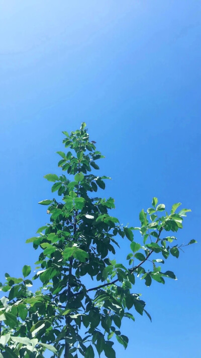 爱就像蓝天白云，晴空万里，突然暴风雨