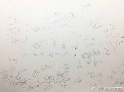 怎样画出草坪的层次?八步