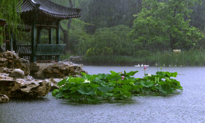 江南烟雨却痴缠