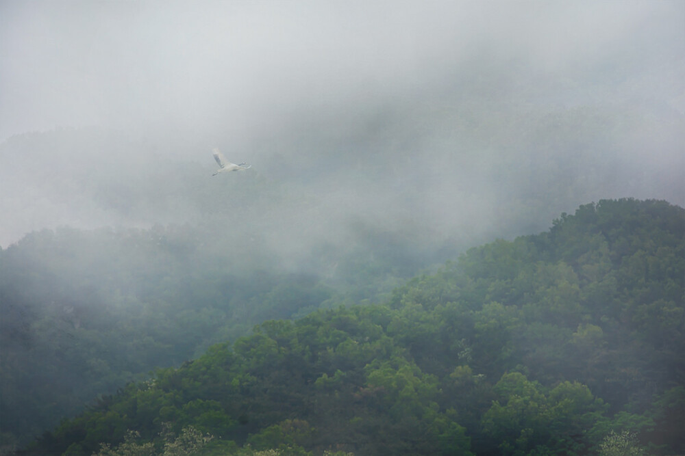 江南烟雨却痴缠