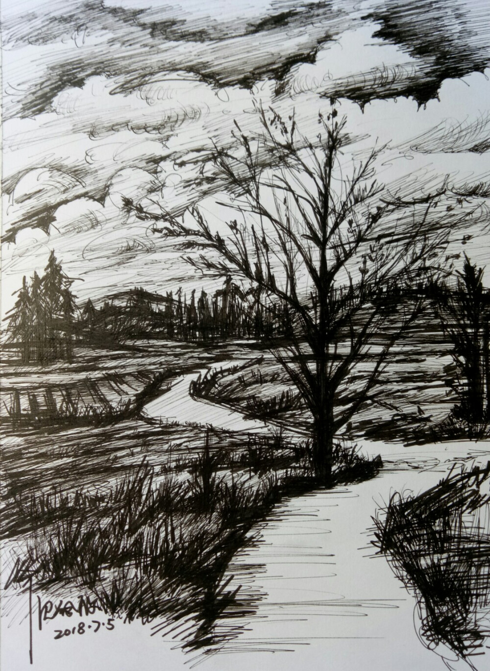 钢笔素描暴雨来临前