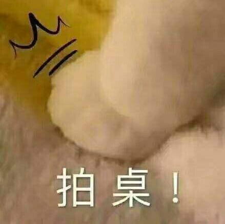 喵喵喵