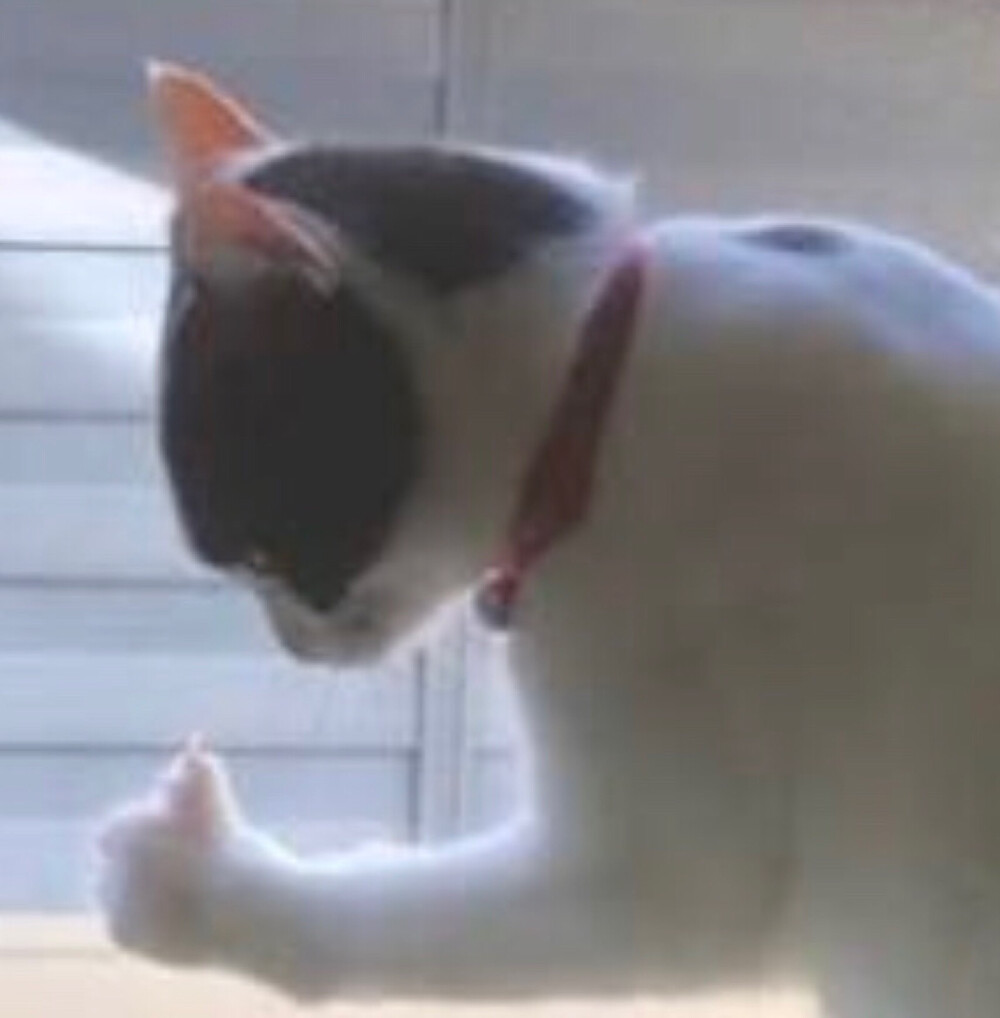 表情