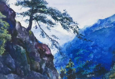 水彩 油画 人物 速写 写生 创意 人像 建筑 名画 花 动物 海底世界 海龟 风景 雪山 高山 树木 植物 溪流