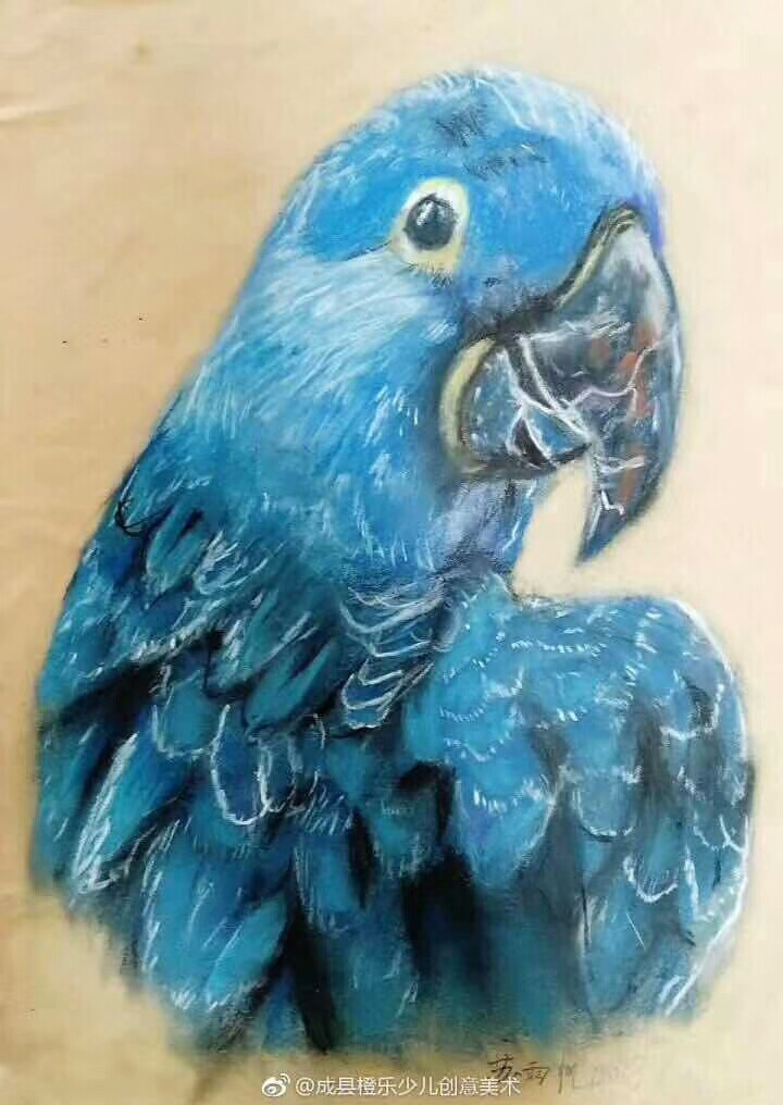 蔬菜 水果 花卉 人物 水粉 油画棒 重彩 色彩 黑白 线条 创意 鹦鹉